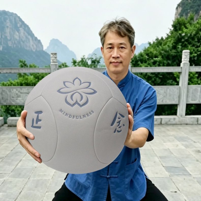 Yoga Fitness Health - Grande boule de Tai Chi portable
